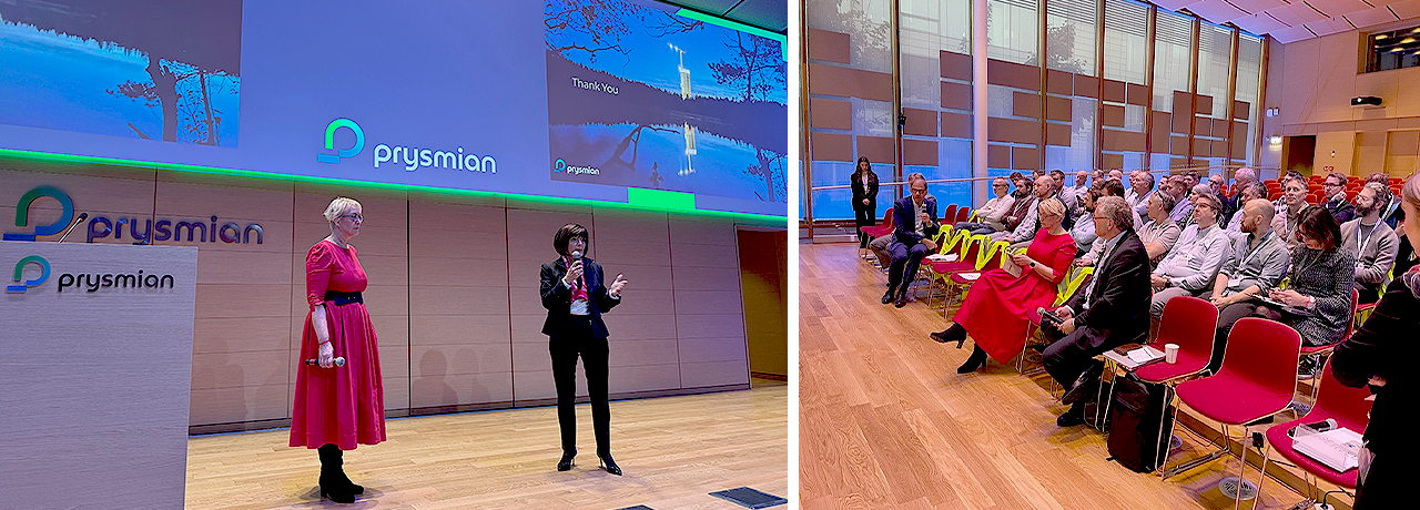 rosa sløyfe statistikk