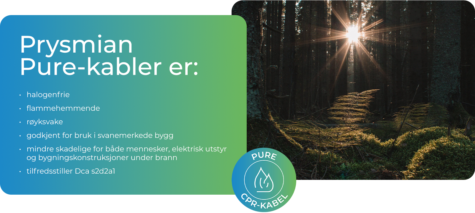 pure-kabler fakta